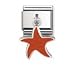 Nomination Composable Damen-Bead Classic Charms 925Er Silber Seestern 031700/03