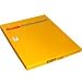 Kodak Portra Endura Resin Coated Color Enlarging Paper, 8x10, 100 Sheets, Pearl, 