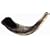 Ram Horn Shofar (12-14 inches)