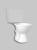 Saniflo Elongated Toilet Bowl Only BISCUIT 027
