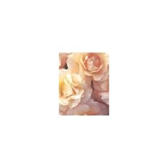 Blankbook Rosen. Blanko-Tagebuch