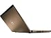 Not DELL Vostro 3300 -Bronze- i3-370M/2048MB/250GB/33,8cm (13,3