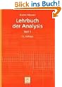 Lehrbuch der Analysis, Teil 1