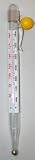 Buy Candy Jelly Tube Thermometer by Unknown