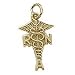 Registered Nursing Charm - Gold Plate