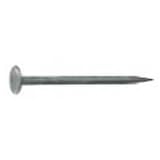 Drywall Nail, 1 3/8 x 25 Lb