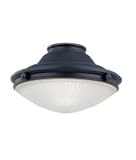 Savoy House FLG-750-FB 1 Light Fan Light Kit in Flat Black with White Frosted Halophane glass