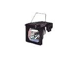 TLP-LX10 Replacement Lamp