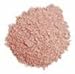 Colorescience Mineral Blush Powder Brush 0.2 oz.