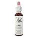 Personal Health Care : Aspen Flower Essence - 20 ml., (Bach Flower Essence)