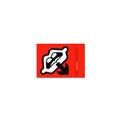 Ligua Grafica