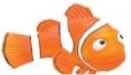 Clown Fish NEMO - of 12