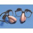 12pcs.nose and Glasses Fuzzy Puss 1dz