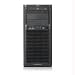 ML150G6 E5504 2GB/250GB Server