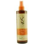 Organics Olive Nutrient Therapy Spritz By Chi, 12 Ounce
