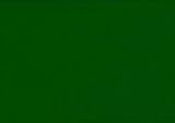 SIS SOLID HUNTER Upholstery Grade Machine Washable Fabric Yardage