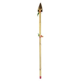 Indian Spear