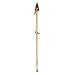 Indian Spear