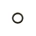 ISI 2970 O Ring