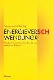 Energiever(sch)wendung. Handbuch zum rationellen Einsatz von elektrischer Energie