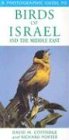 Books : A Photographic Guide to Birds of Israel / the Middle East