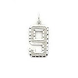 14kt White Gold Number Charm