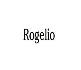 Clearly Charming Rogelio RED HEART Laser Name Italian Charm Link