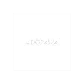 Photo Basics 588 5-Feetx8-Feet White Background