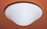 16-Inch Flushmount Ceiling Fixture