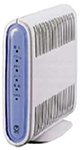 Web Caster V100