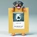 image 12 - Rottweiler 25x35 Photo Frame