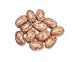 Gourmet Food : PINTO BEANS, 10 lb Bag