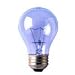 Bulbrite 711119 - 60A19CL/N - Full Spectrum 60 Watt Neodymium A19 Light Bulb, Clear