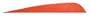 GATEWAY FEATHERS PARABOLC 5IN RED RW 100CT