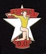 9.0 Floor Award Pin.