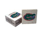 Florida Gators Stone Coaster Set