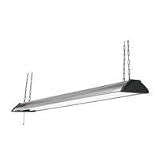 American Fluor #PPS232RC 2Lamp Shop Light