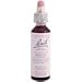 Bach Beech (1 x 20 ML)
