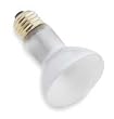 LumaPro 2PGX9 Lamp, Incandescent, 45R20/FL/130, PK 6