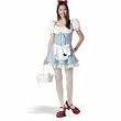 Dorothy Teen Costume