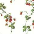 Strawberry Vines on White Wallpaper in Fresh Kitchens 4