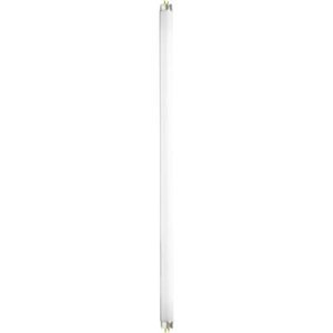 Keystore Intl Mco Limited Fluorescent Bulbs