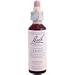 Bach Cerato (1 x 20 ML)