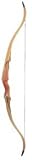 Martin Archery Inc 10 Dream Catcher Recurve Rh 55#