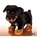   - Webkinz Ganz Rottweiler New Release July