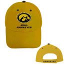 IOWA HAWKEYES FIBER OPTIC CAP