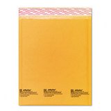 SEL16161 - Sealed Air Bubble Wrap Shipping Envelope