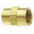 Amflo 344F 1 4 x 1 4 NPT Female Brass Pipe Coupling by Amflo