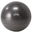 SPRI PROFESSIONAL PLUS XERCISE BALL - 55cm - Slate