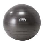 SPRI Elite Xercise Workout Swiss Ball - Commercial Grade (45cm, 55cm, 65cm, 75cm)